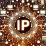 internet protocol ip. podstawy i informacje